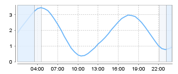 Big Salty Tide Charts
